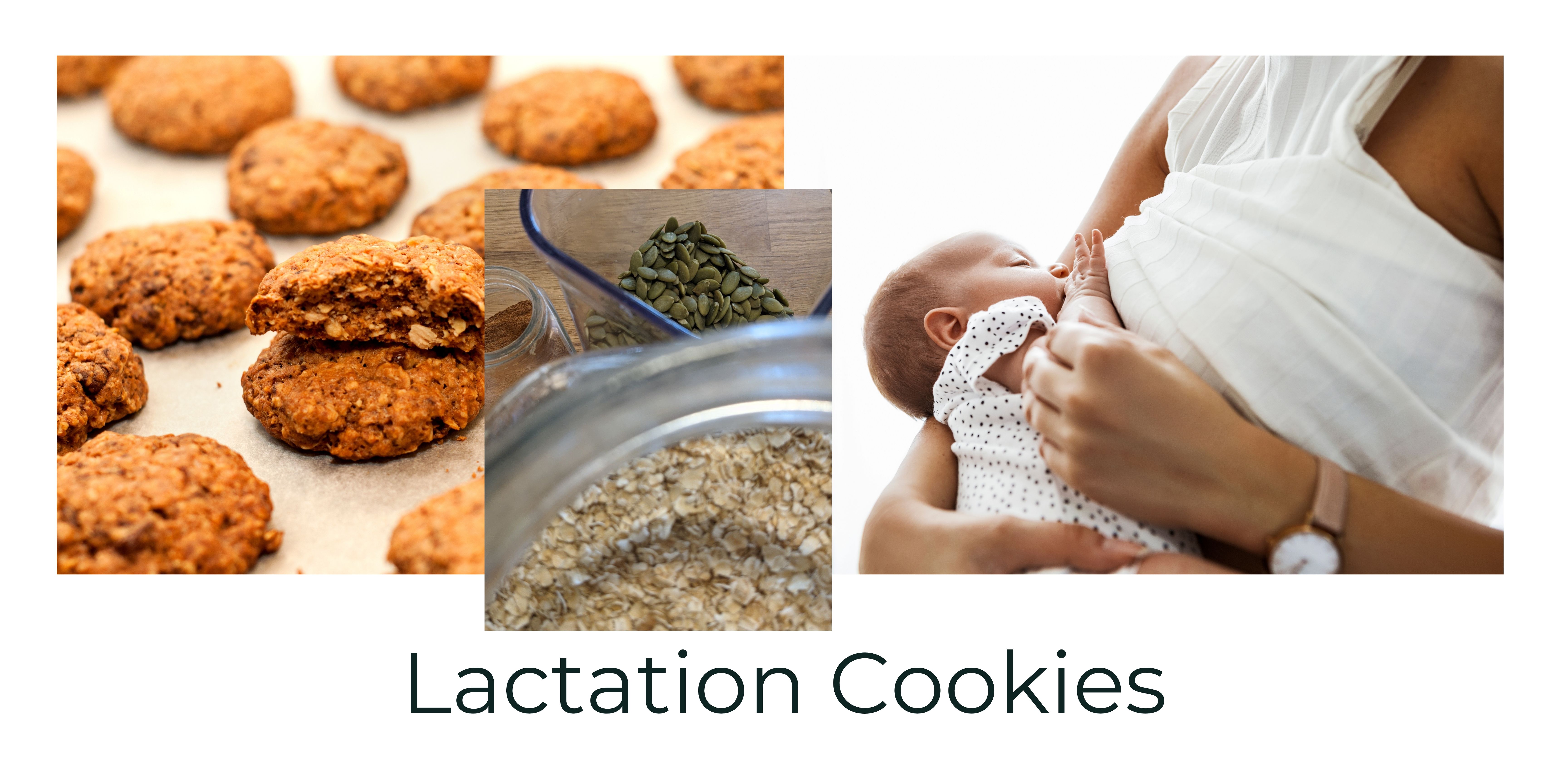 Lactation Cookies